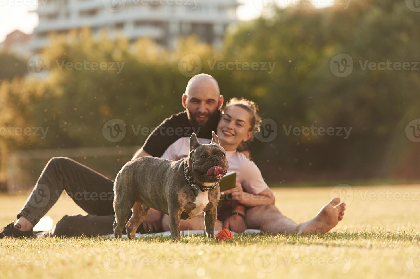 Weekend, time,,, resting and sitting. Man and woman are with dog on the field photo