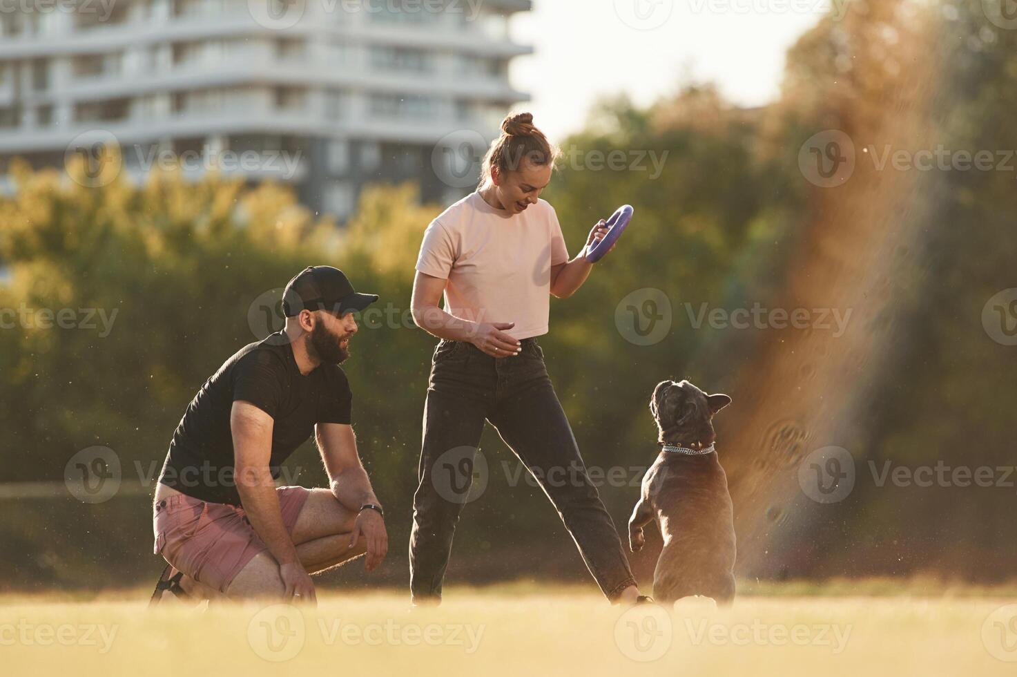 Playing ,with, a rubber toy. Man and woman are with dog on the field photo
