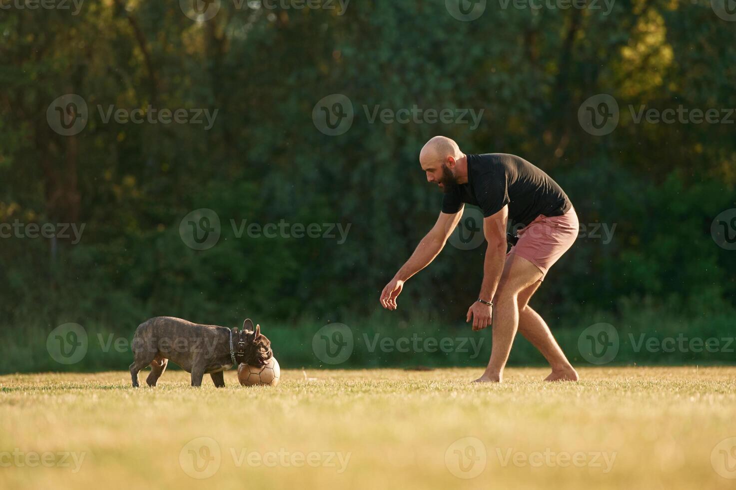 Man is playing with his, dog ,with soccer ball on the summer field photo