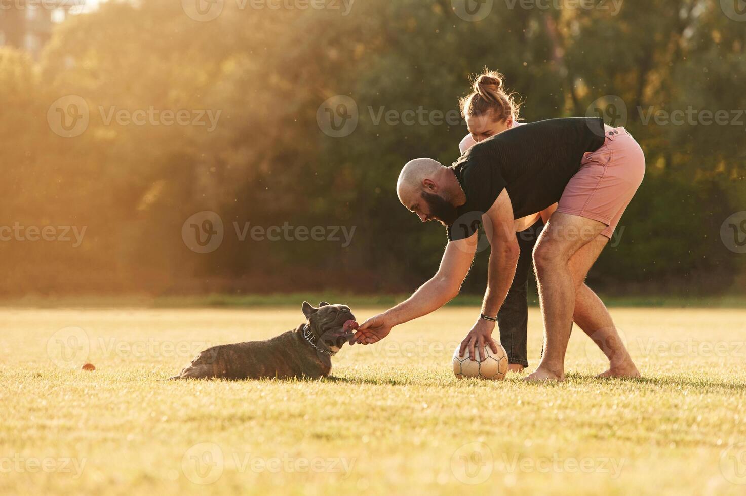Using soccer ball, playing. Man and woman, are with dog on the field photo
