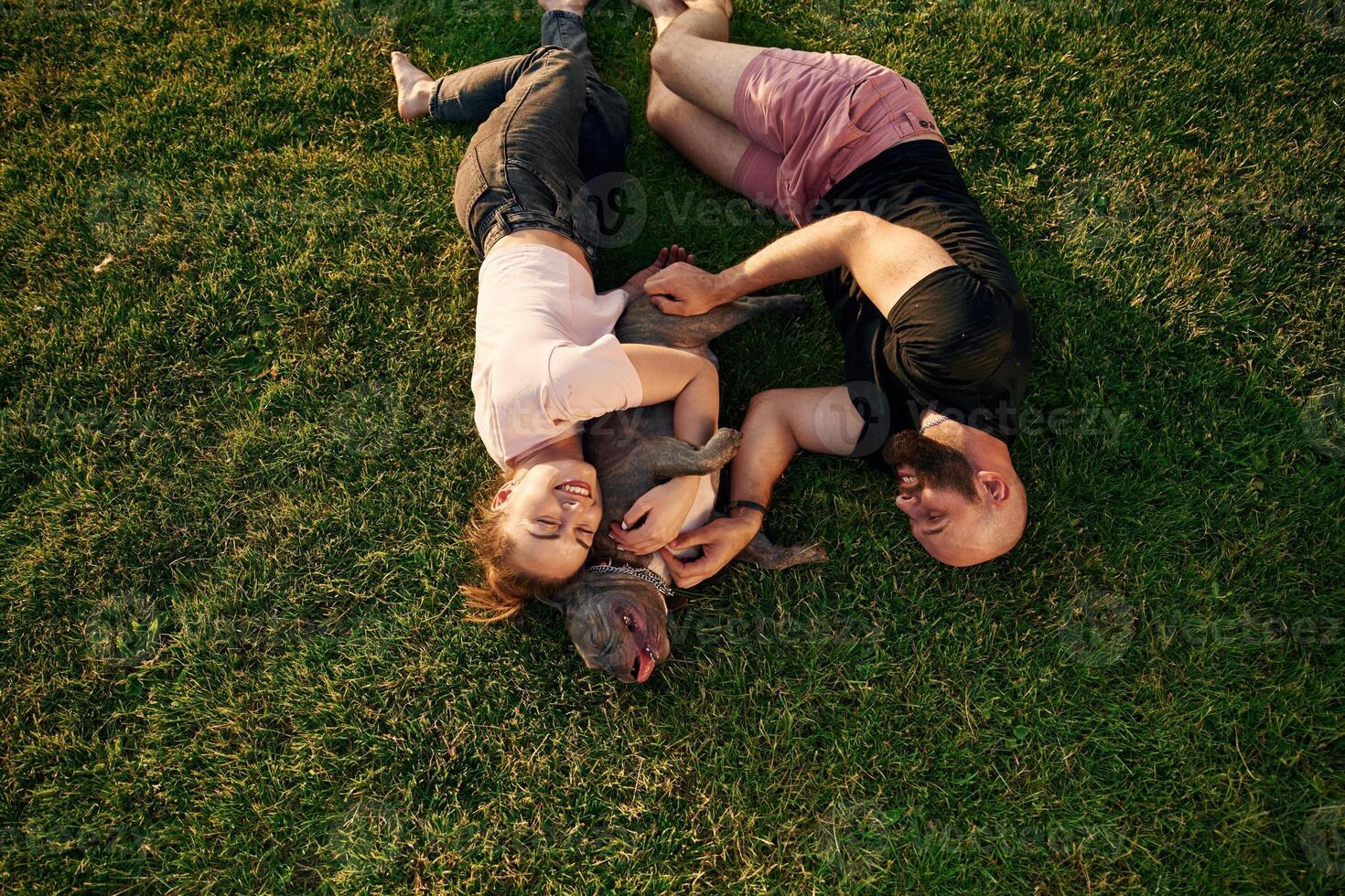 On the, grass, lying down. Man and woman are with dog on the field photo
