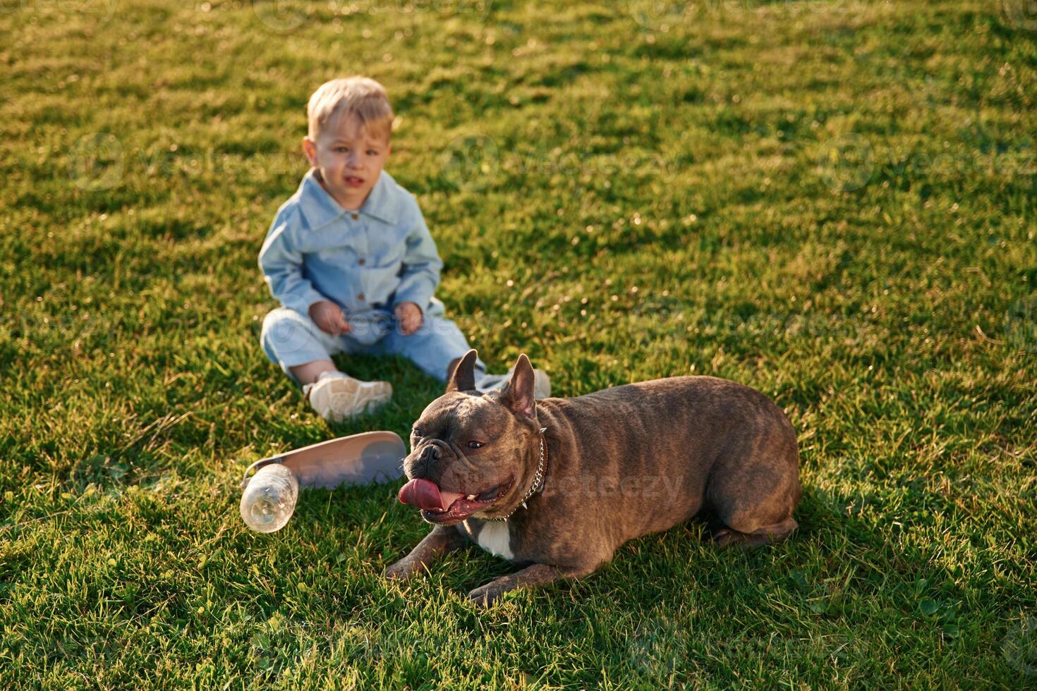 Sitting, on the ground. Cute little boy is with dog on the field photo