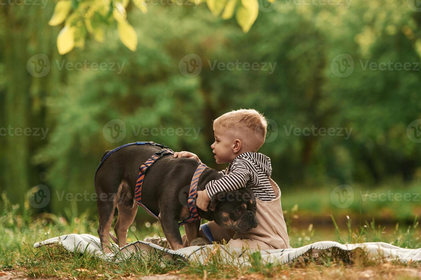 Cute little boy is with French ,Bulldog ,outdoors in the park photo