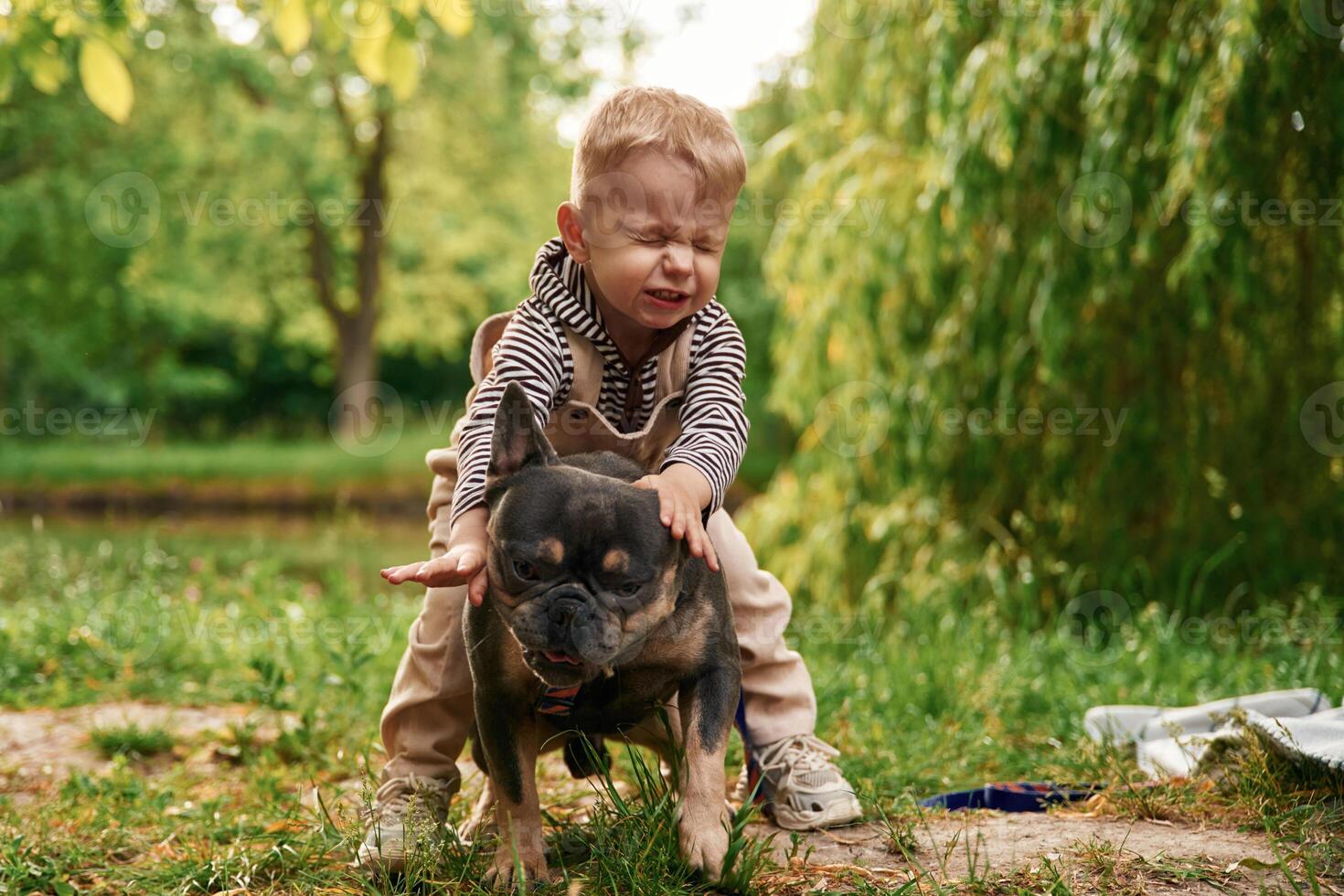Riding, the animal, sitting on it. Cute little boy is with French Bulldog outdoors in the park photo