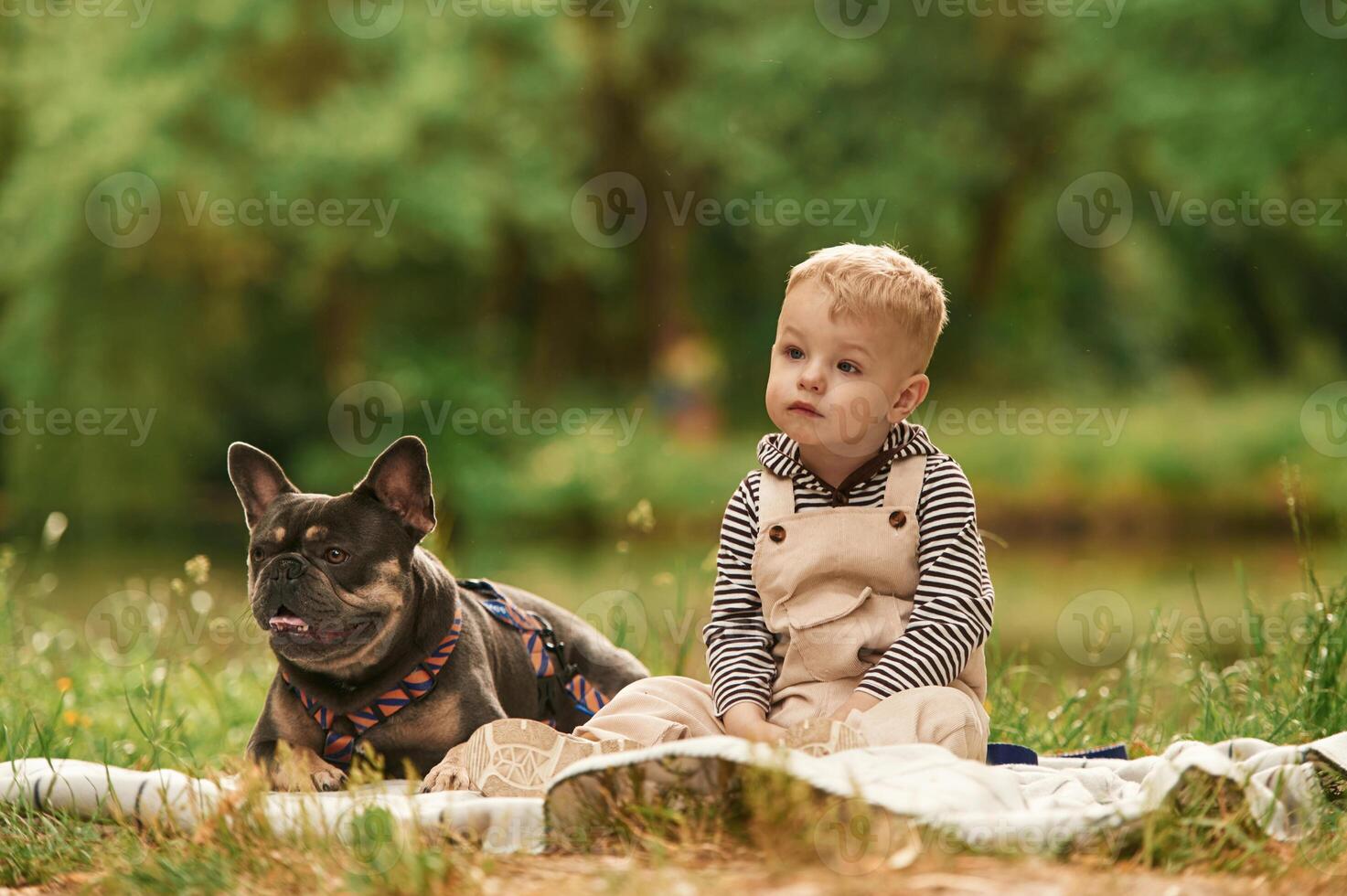 Cute little, boy is with French Bulldog outdoors in the park photo