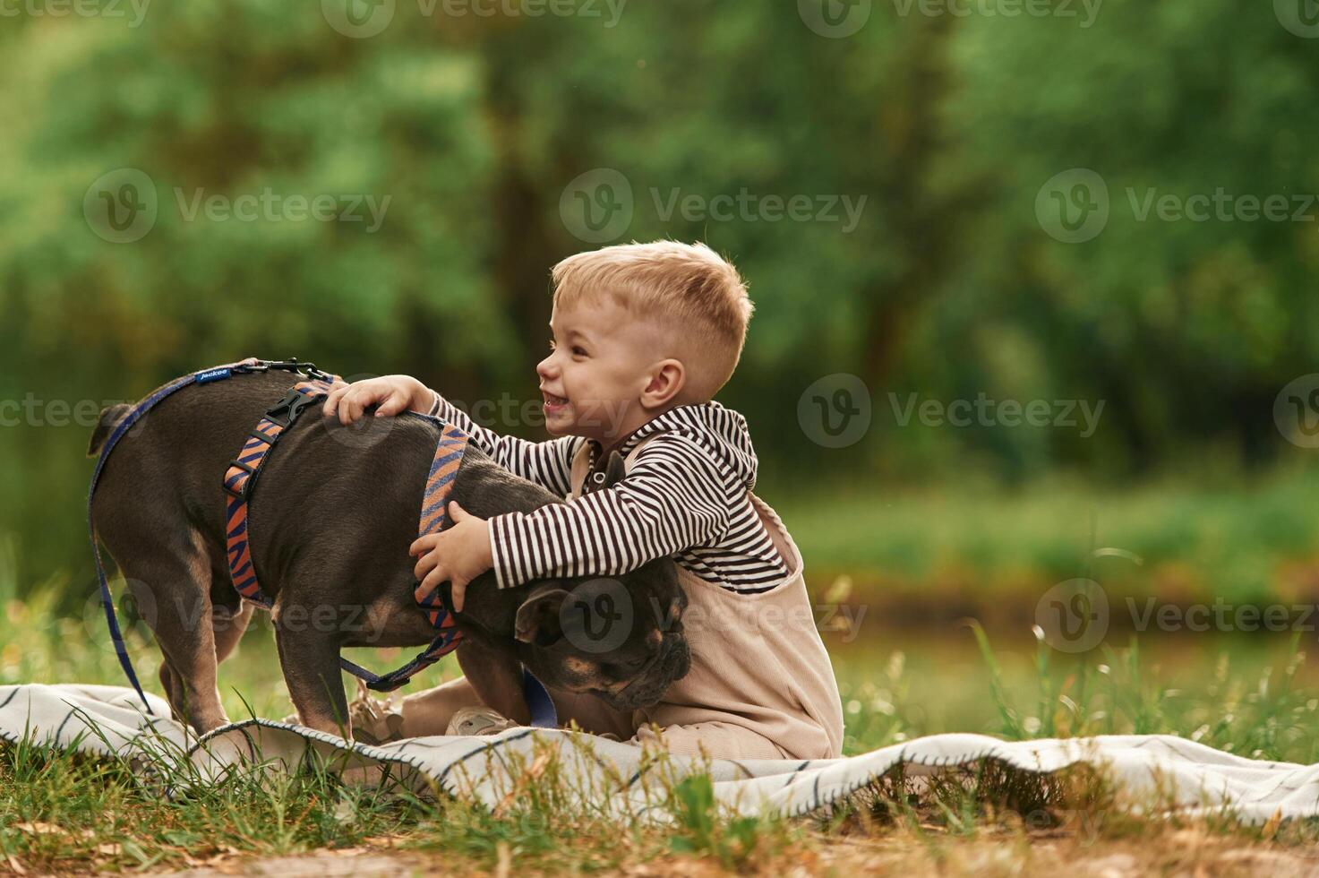 Cute, little boy is with French Bulldog outdoors in the park photo