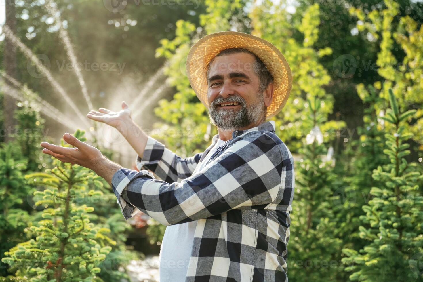 Showing, the automatic watering machine. Senior gardener is at work at daytime photo