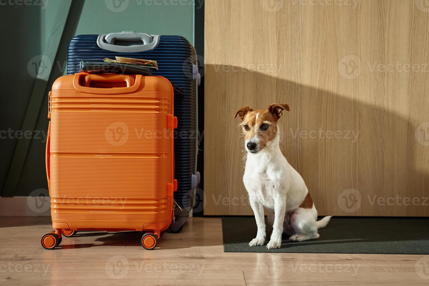 Small Dog Sitting Next to Packed Suitcases photo