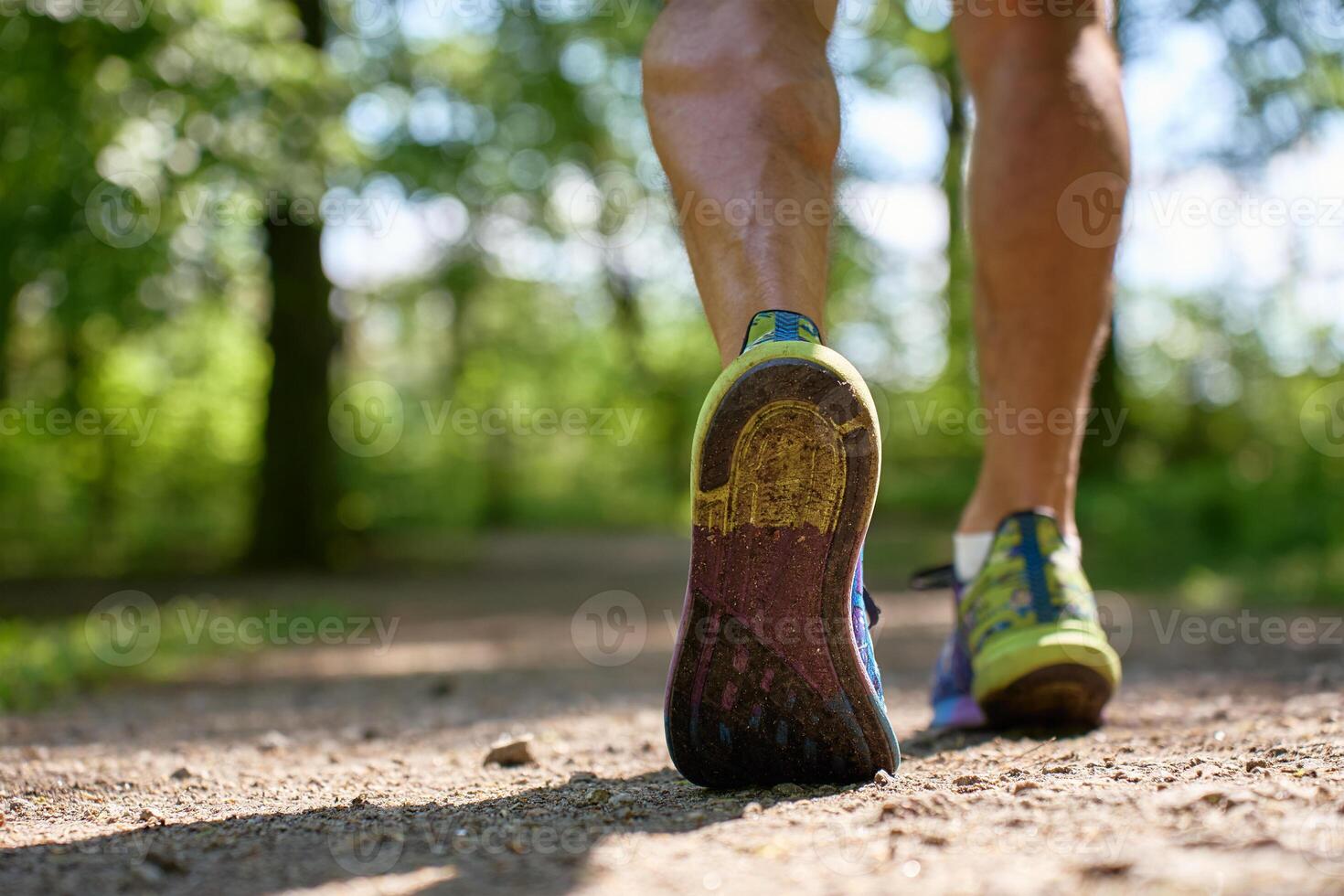 Back view of runner shoes close-up on forest trail during outdoor workout photo