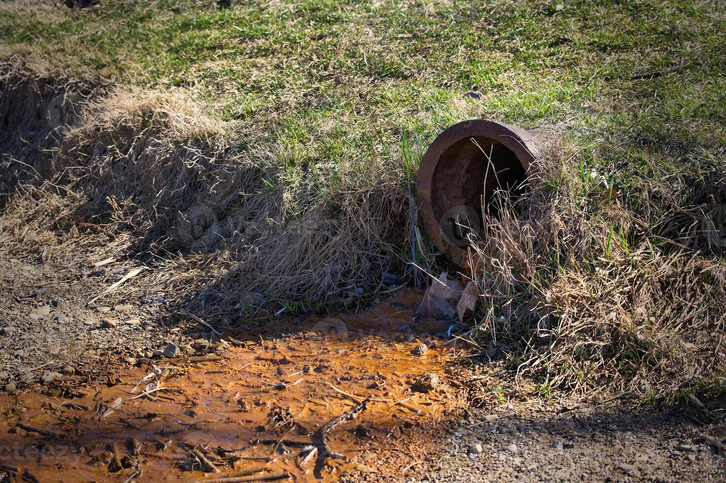 A rusted pipe spills rusty water into a muddy area with weeds and grass growing around it. photo