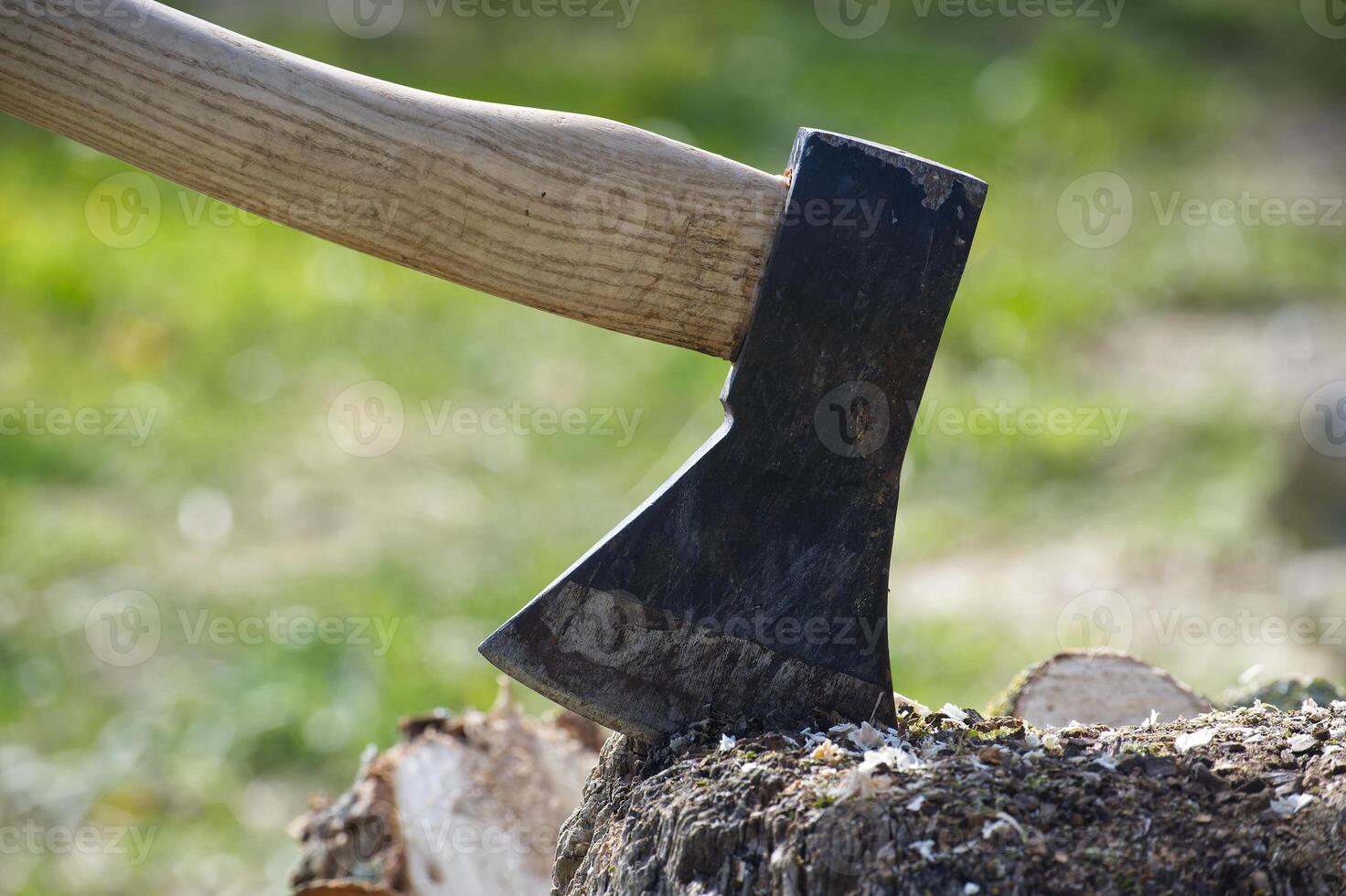 Sharp ax embedded in a weathered tree stump with a wooden handle ready to chop. photo