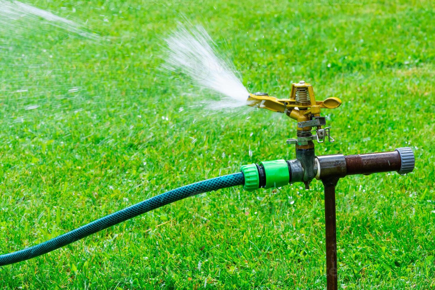 automatic sprinkler system watering the lawn on a background of green grass, close-up. photo
