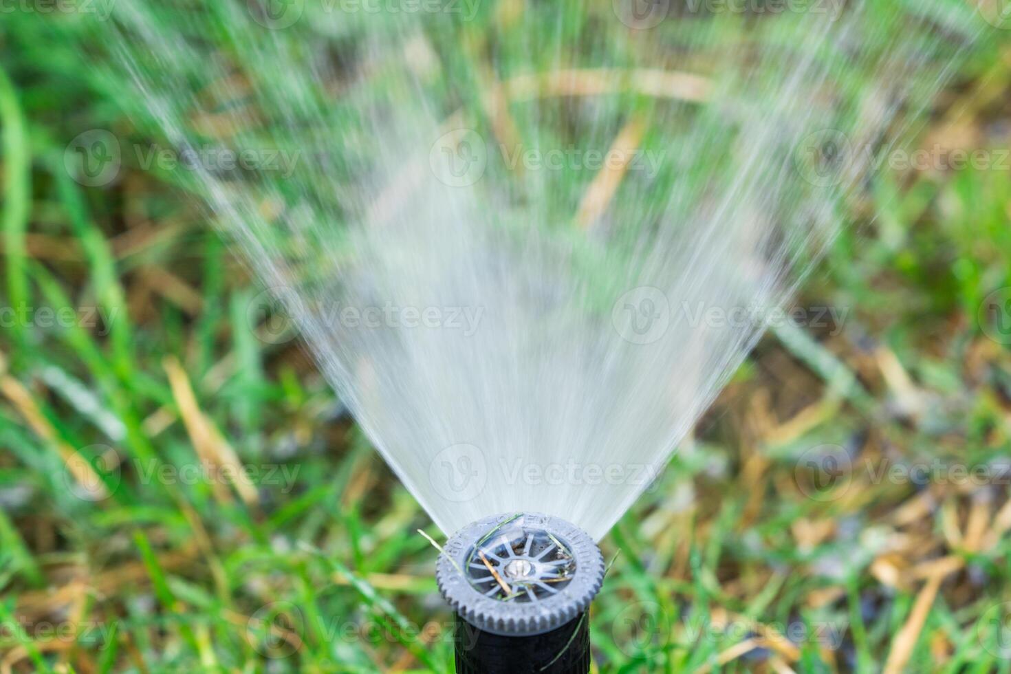 automatic lawn watering system on green grass background, closeup. photo