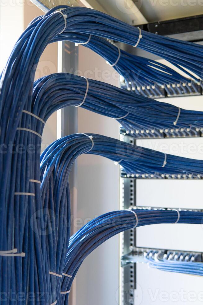 A large group of UTP cables, rack ethernet cables, patch panel UTP cables in a server rack in a data center room. photo