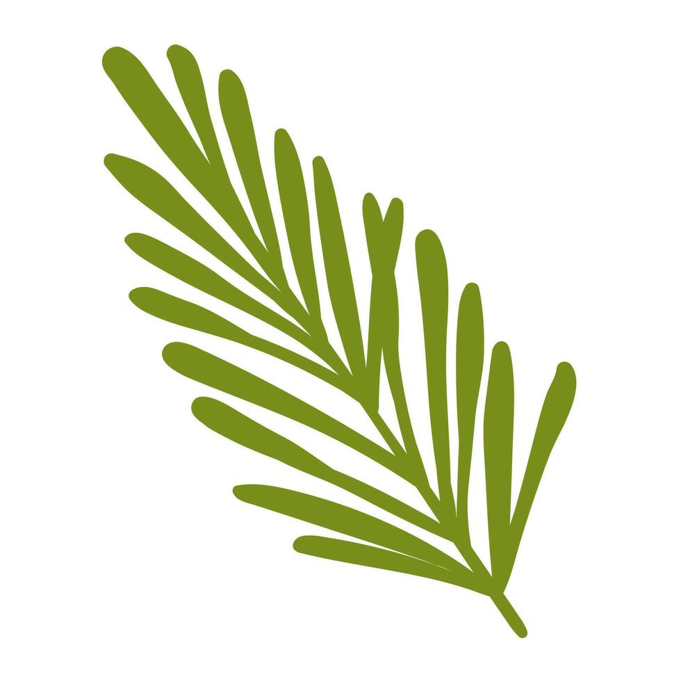 Pine Branch in Hand Drawn Style. Decoration for Christmas frames and wreaths. Nature ornament. Cute fir symbol. Holidays green flat twig vector