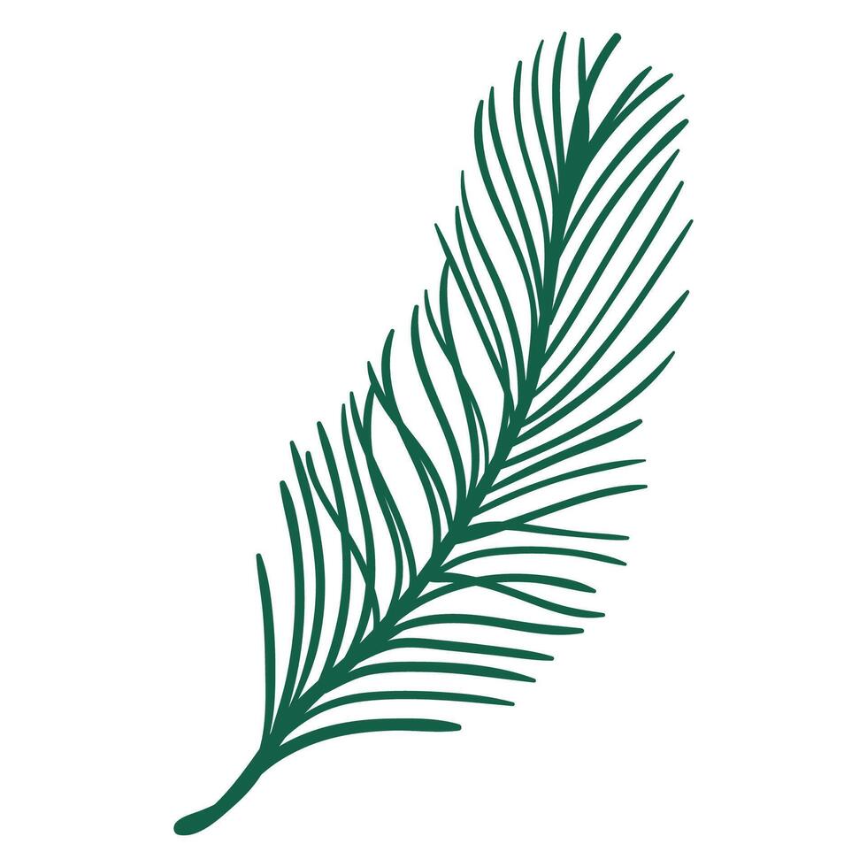 Pine Tree Branch in Hand Drawn Style. Cartoon spruce branch decoration for Christmas frames and wreaths. Nature ornament. Holidays green flat twig vector
