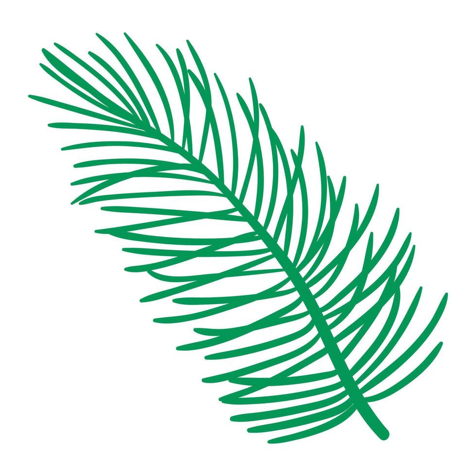 Cartoon Pine Branch decoration for Christmas frames and wreaths. Fir symbols. Holidays green flat twigs vector