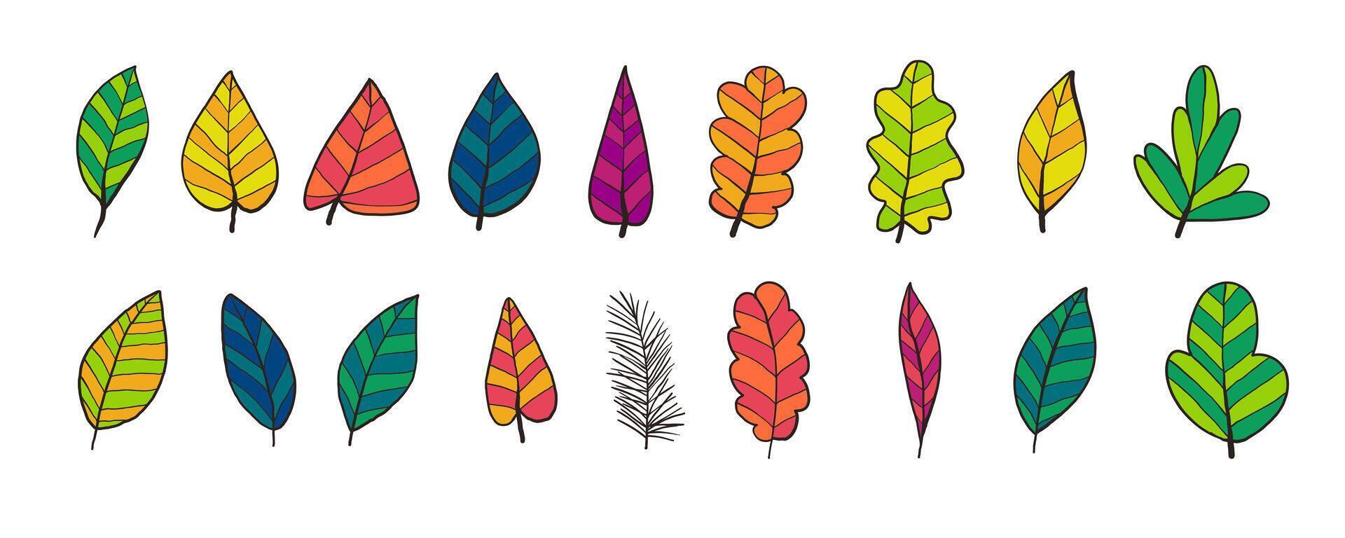 Colorful Retro Leaf Collection in Hand Drawn Style. Doodle quirky autumn and spring branches. Perfect for fashion, clothing, cards, invitations, wrapping paper vector