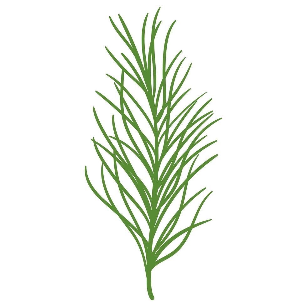 Cartoon Pine Tree Branch in Hand Drawn Style. Spruce branch decoration for Christmas frames and wreaths, cards. Nature ornament. Cute fir symbol. Holidays green flat twig vector