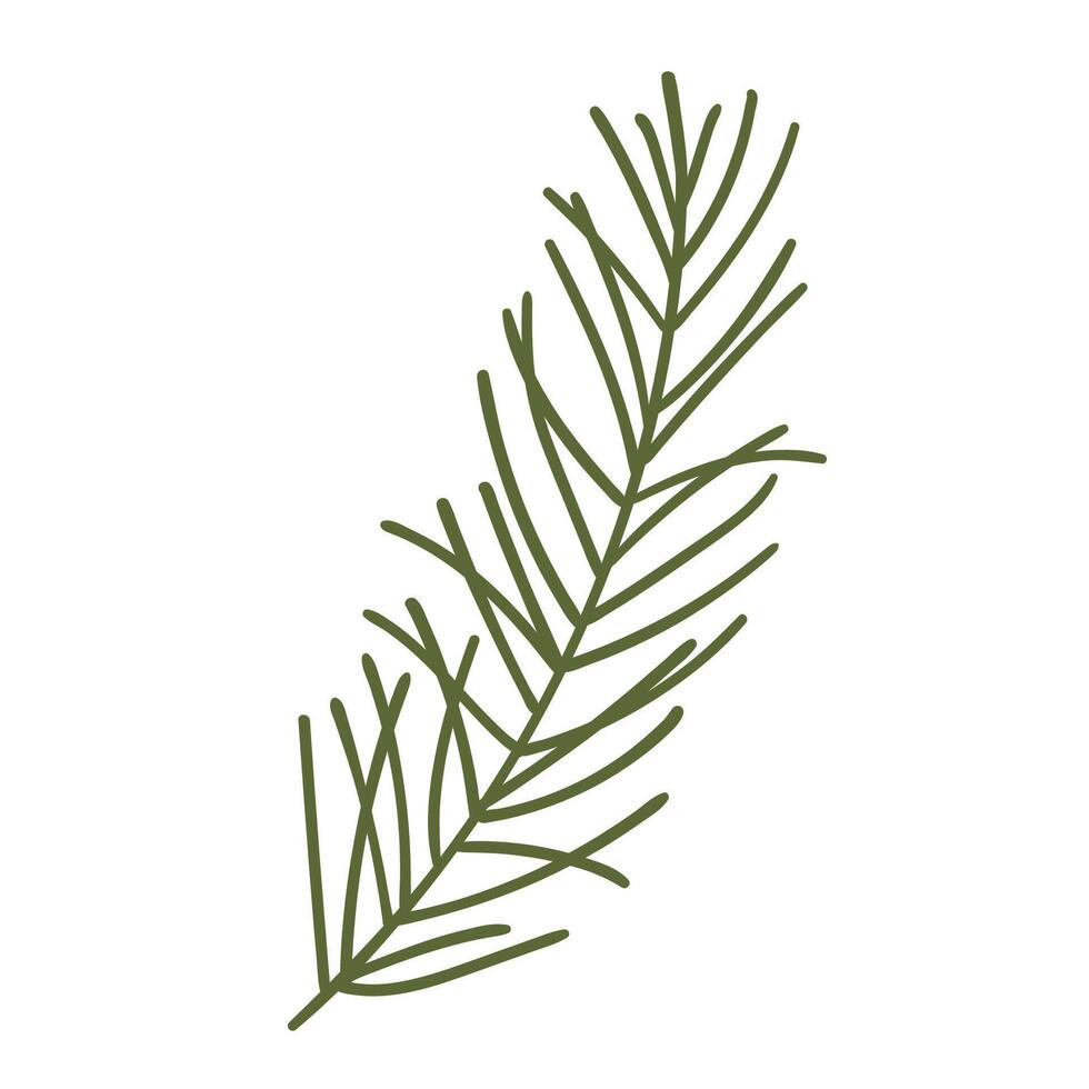 Pine Tree Branch in Hand Drawn Style. Nature decoration for Christmas frames and wreaths. Fir symbols. Holidays green flat twigs vector