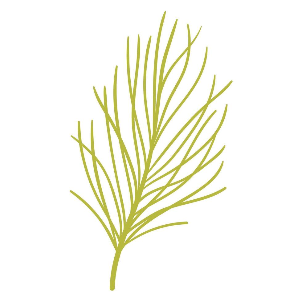 Green Pine Tree Branch in Hand Drawn Style. Beautiful spruce branch decoration for Christmas frames and wreaths. Nature ornament. Cute fir symbol. Holidays green flat twig vector