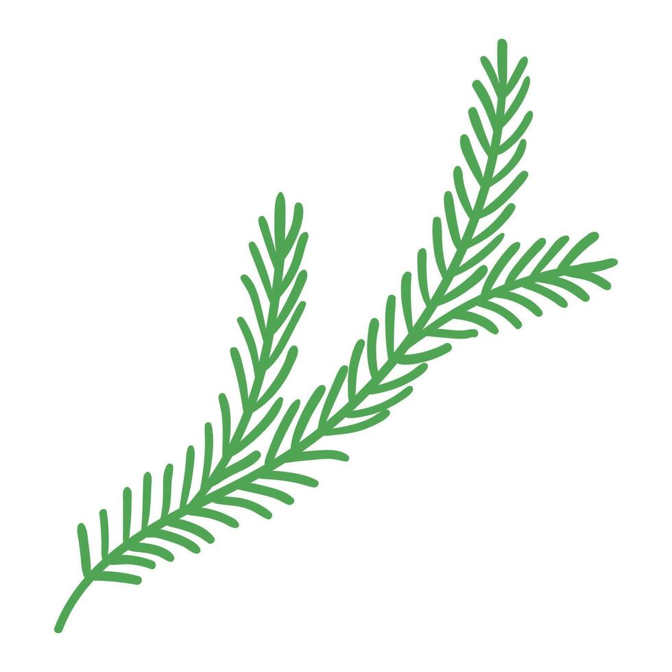 Pine Tree Branch in Hand Drawn Style. Cartoon nature decoration for Christmas frames and wreaths. Nature ornament. Cute fir symbol. Holidays twig vector