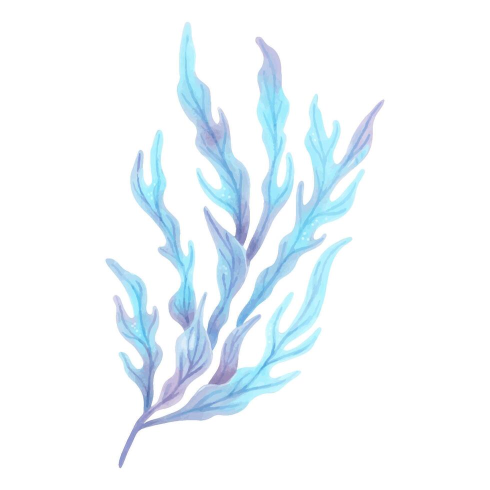 Blue underwater seaweed branch. Watercolor, marker illustration. Hand drawn isolated art. Marine botanical clipart of seaweed. Natural form of ocean flora. Suitable for ecology, health, travel themes vector