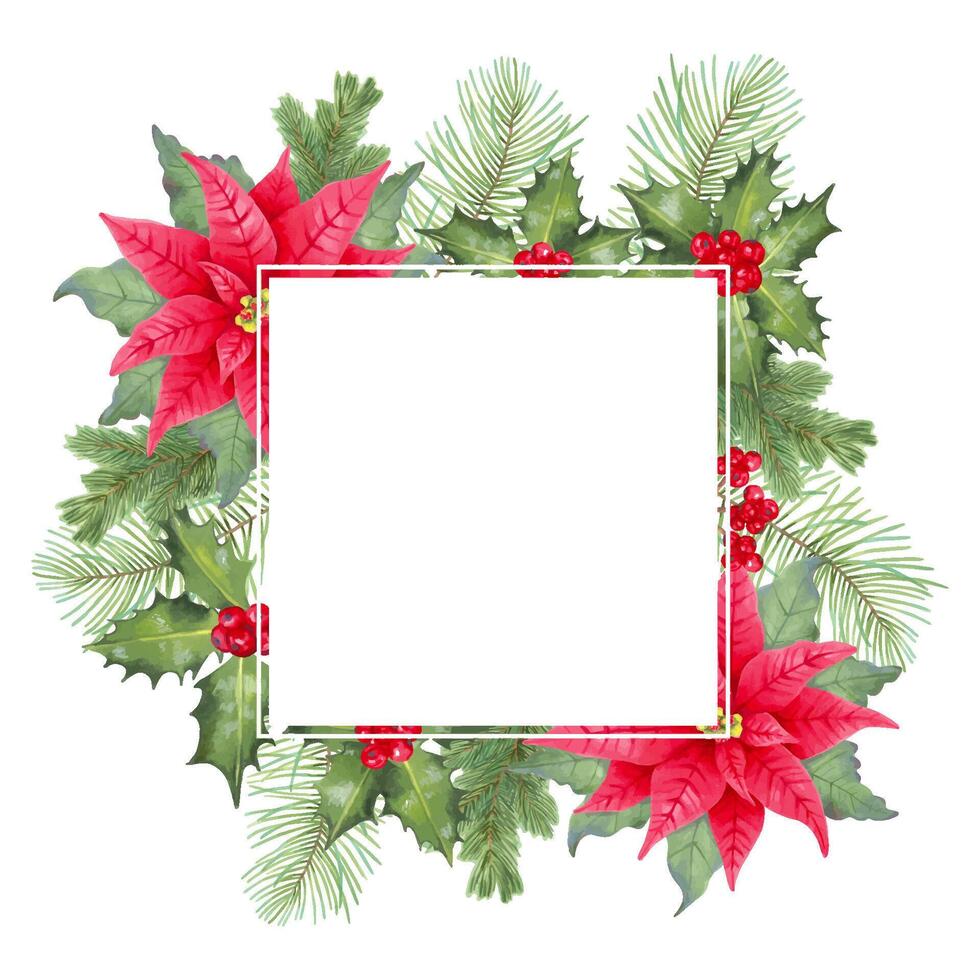 Square frame with poinsettia flower, holly berries, leaves with conifer branches. Watercolor illustration, markers. Christmas backdrop for winter holidays New Year. Hand drawn isolated art vector