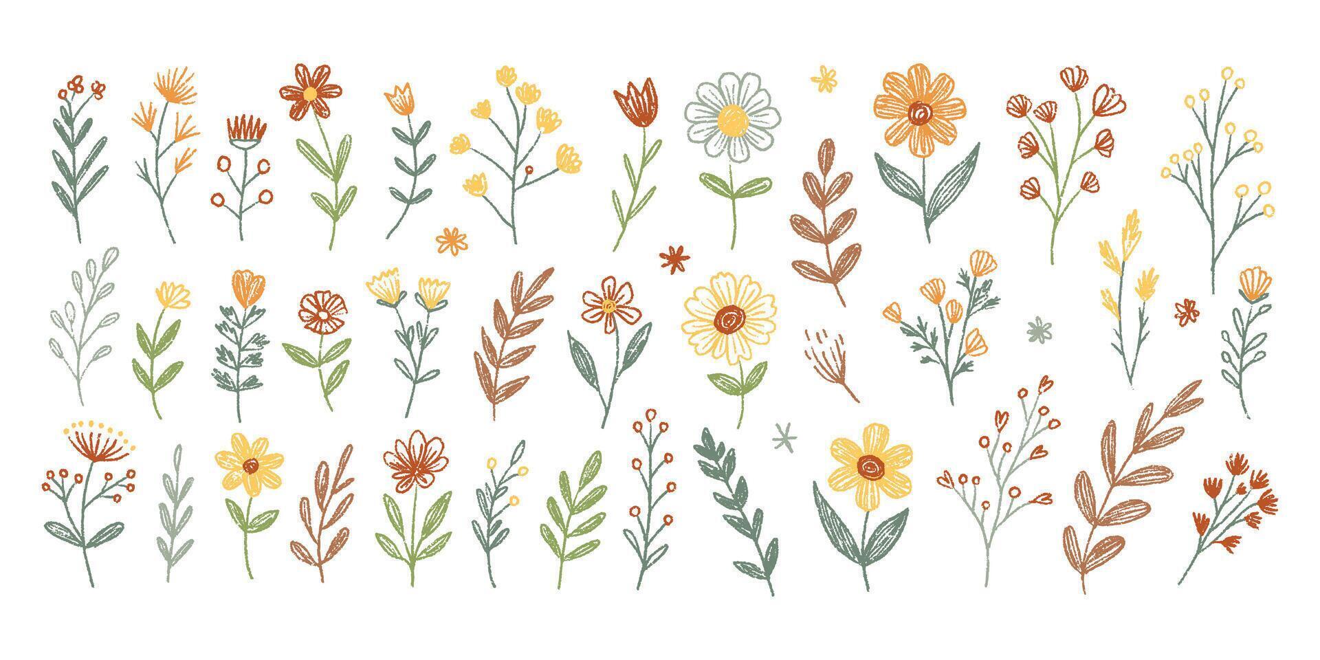 Spring crayon kid flower illustration with hand-drawn wildflowers vector