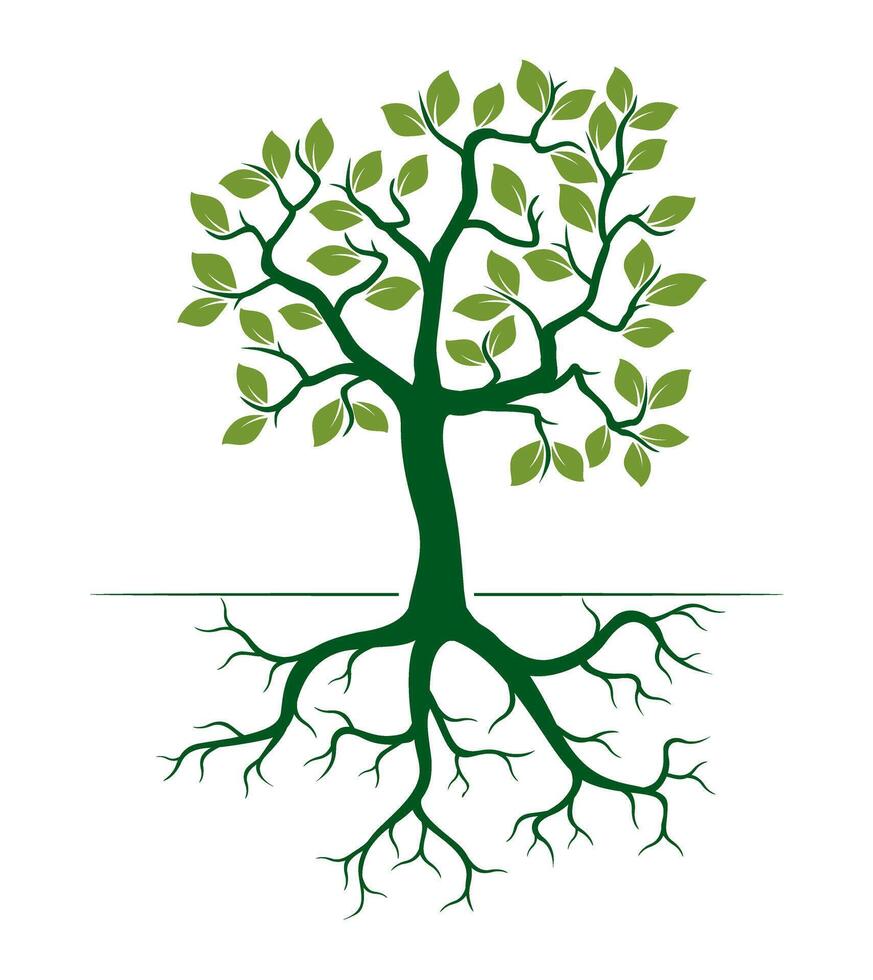 Green Apple Tree with Leaves and Roots. outline Illustration. vector
