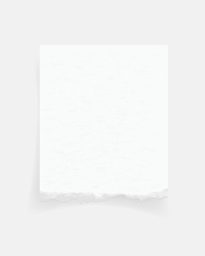 Torn paper edges. Ripped paper texture. Paper tag. White paper sheet for background. illustration. vector