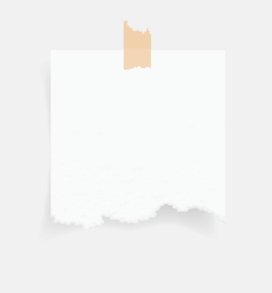 Paper note and tape. Torn paper sheet sticker on white background. White paper vector