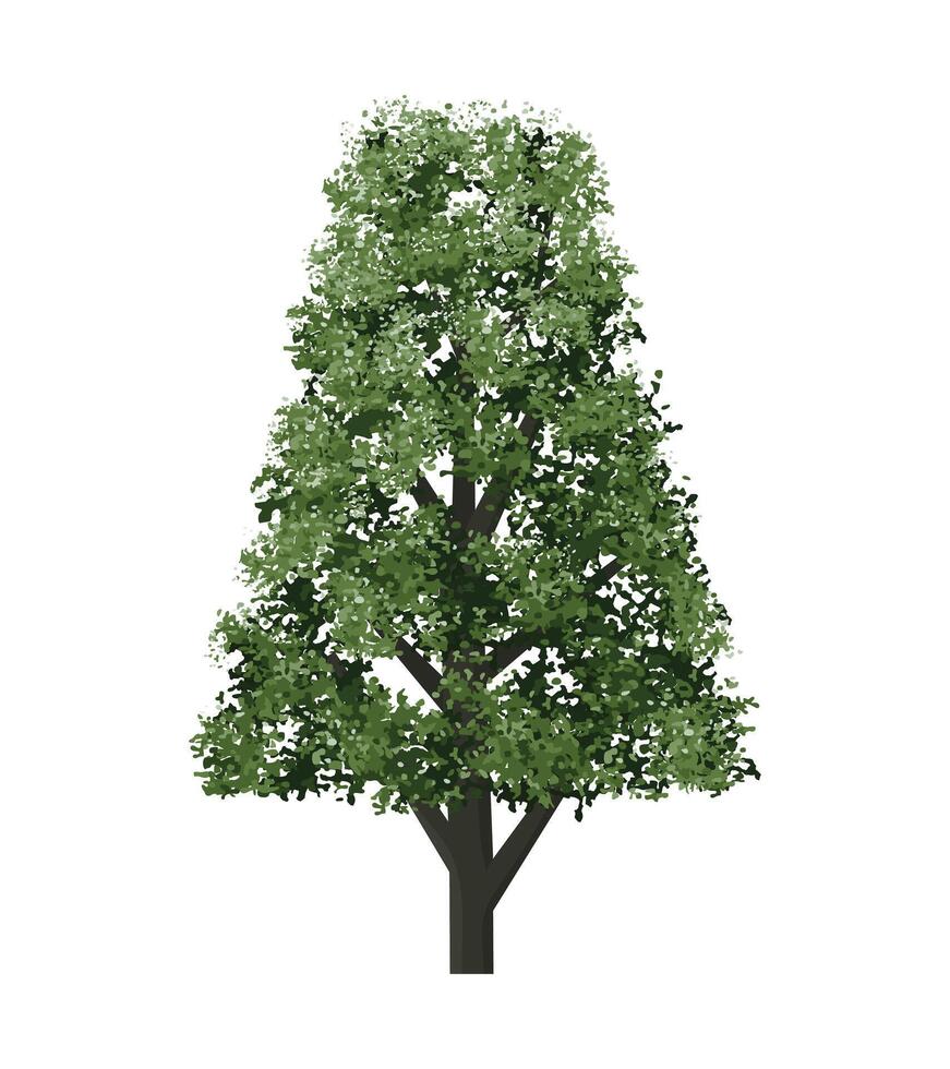 Big tree isolated on white background. Landscape object for outdoor graphic, architecture drawing, elements for environment and gardening vector