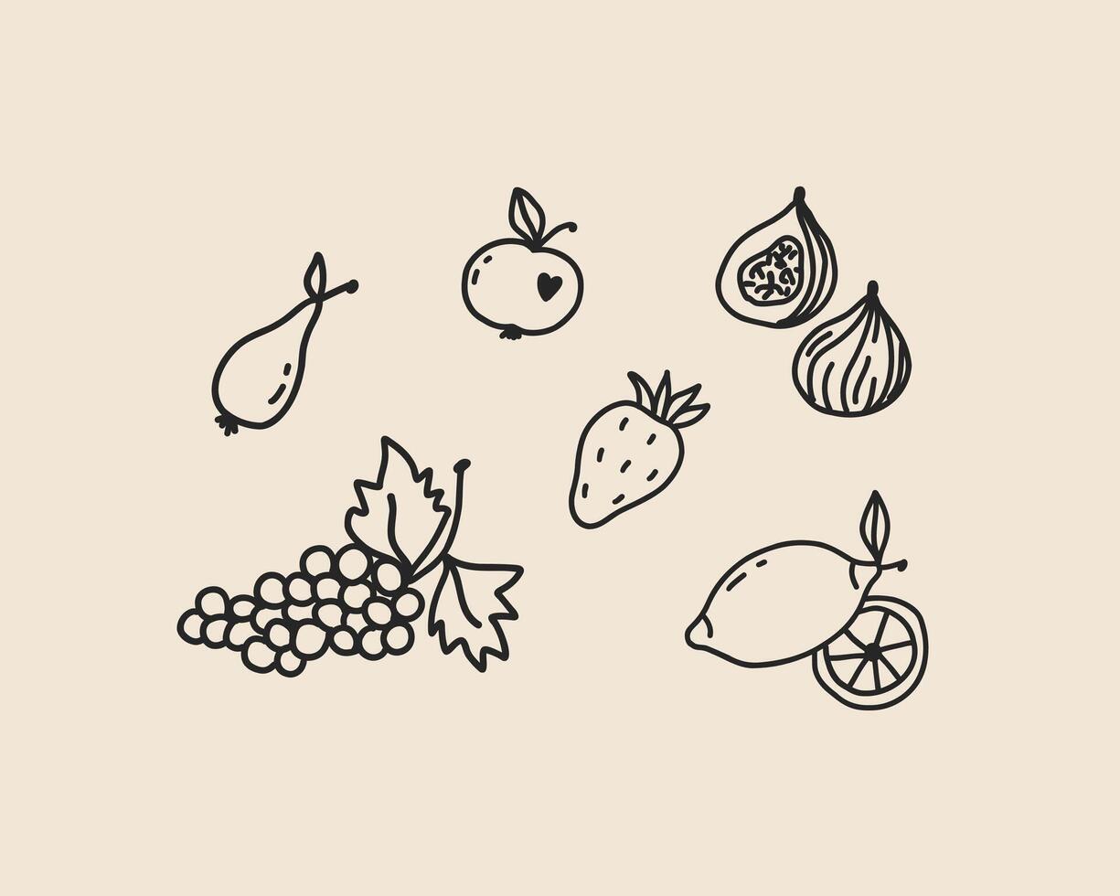 Set of line art fruits isolated. Coquette whimsical hand drawn doodle sketch grape, apple, pear, lemons and figs outline illustration vector