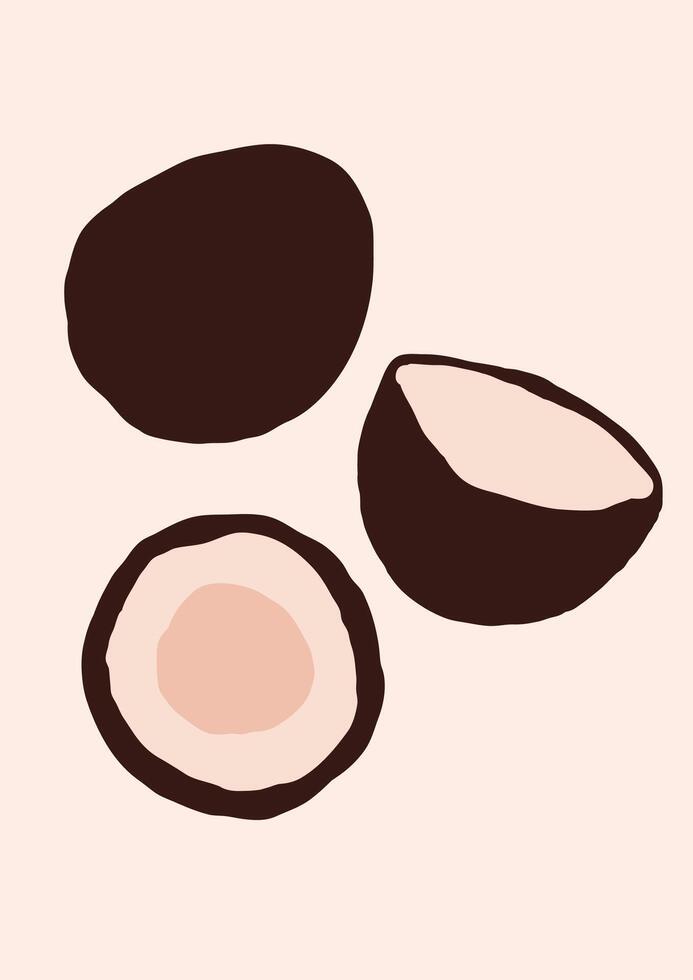 Abstract modern coconut fruit on light background vector