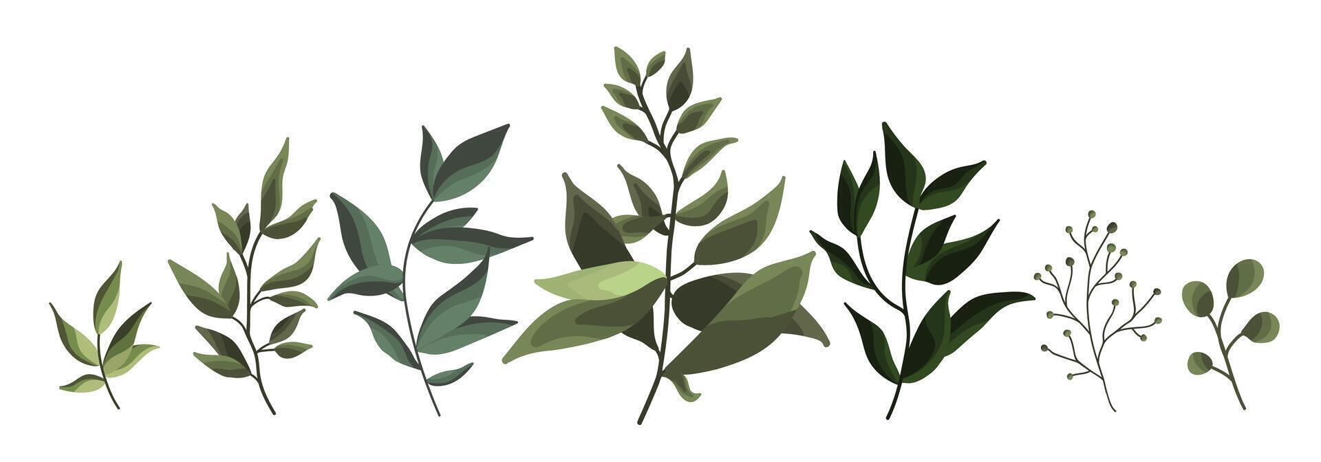 Collection of greenery leaf plant forest herbs tropical leaves botanical vector