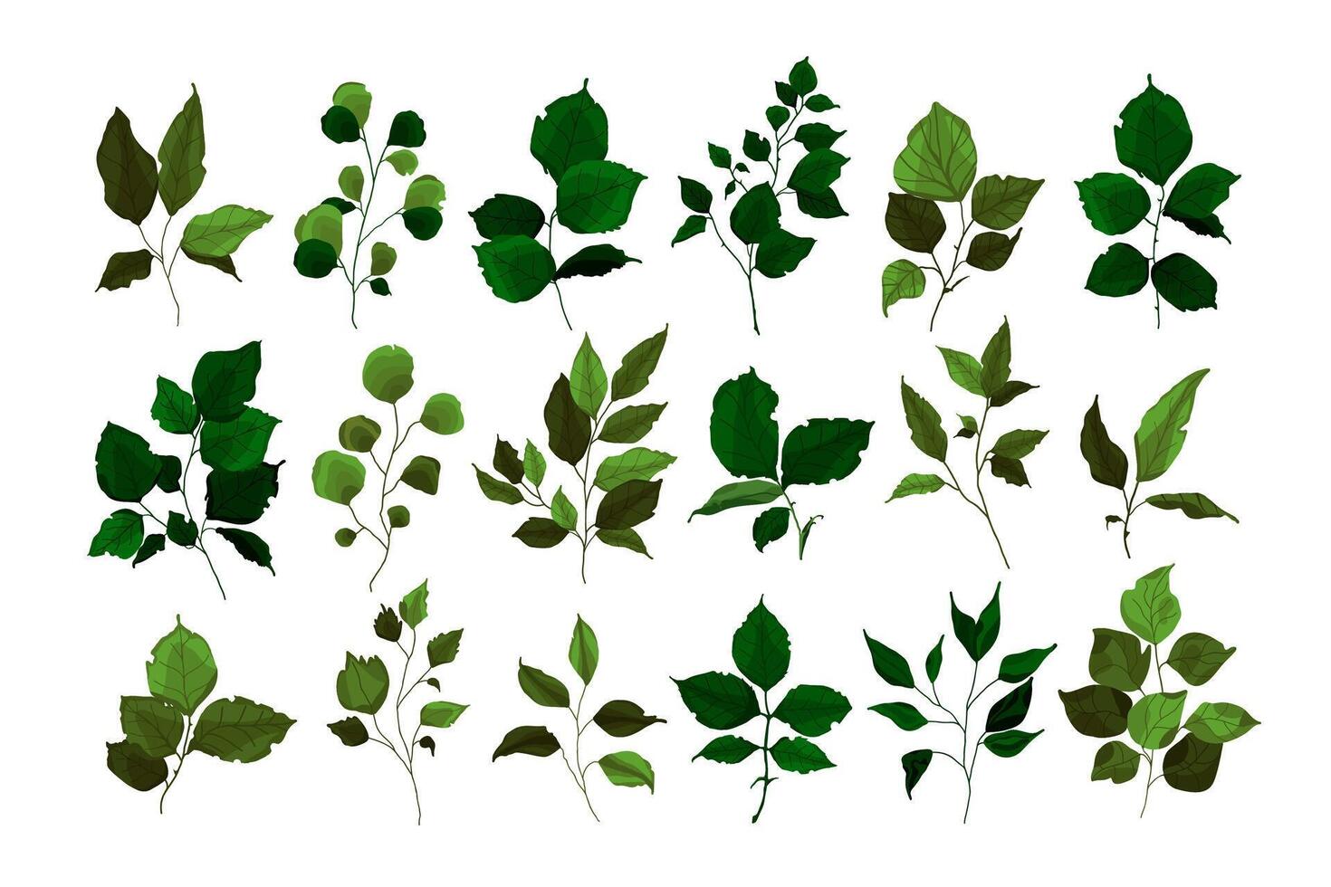 Collection of greenery branch leaves plant forest herbs tropical twigs spring flora illustration vector