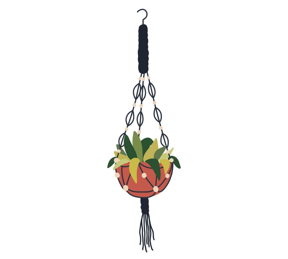 Macrame plant pot. Hanging house flowerpot. Green home interior houseplant illustration flat vector