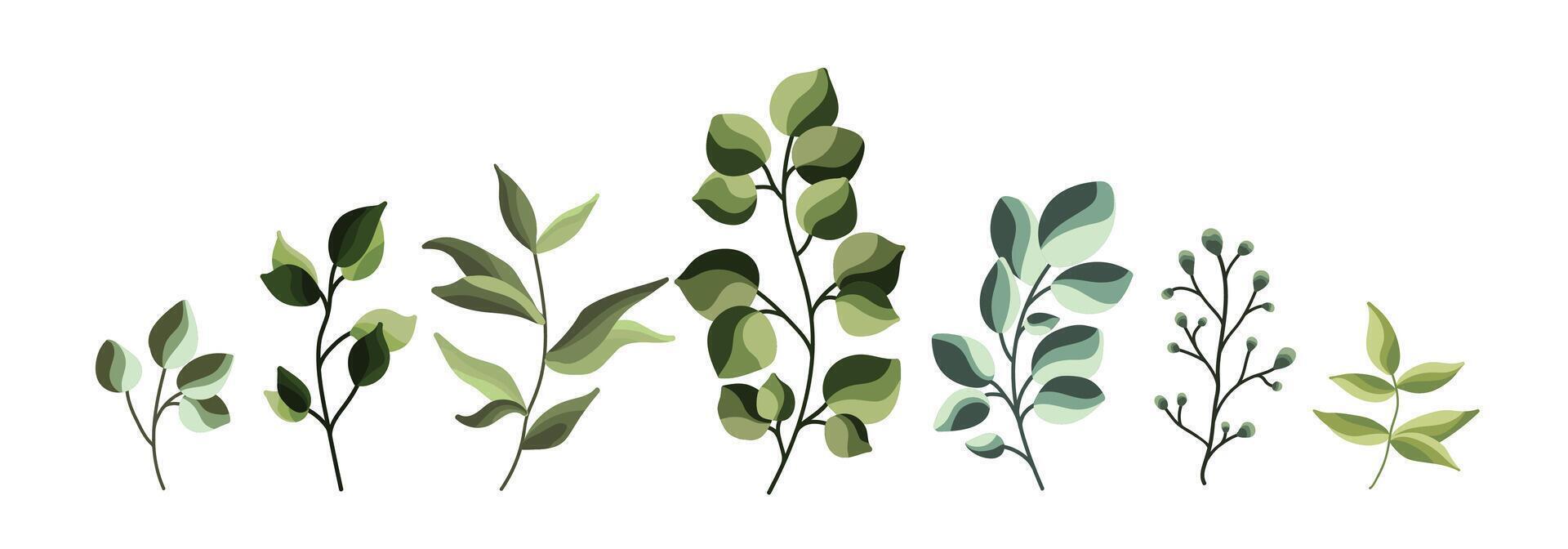Collection of greenery leaves plant forest herbs tropical leaves vector