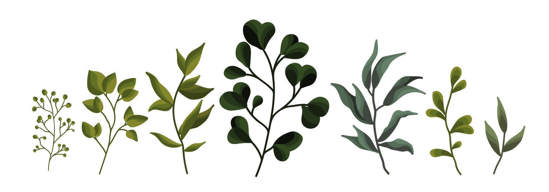 Collection of greenery leaf plant forest herbs tropical leaves set vector
