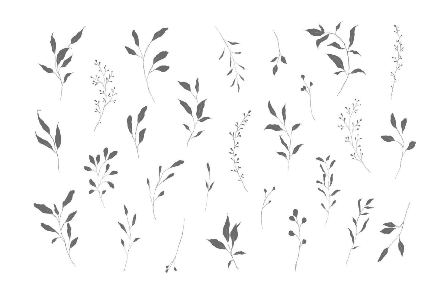 Botanical silhouette leaves hand drawn pencil sketches isolated vector