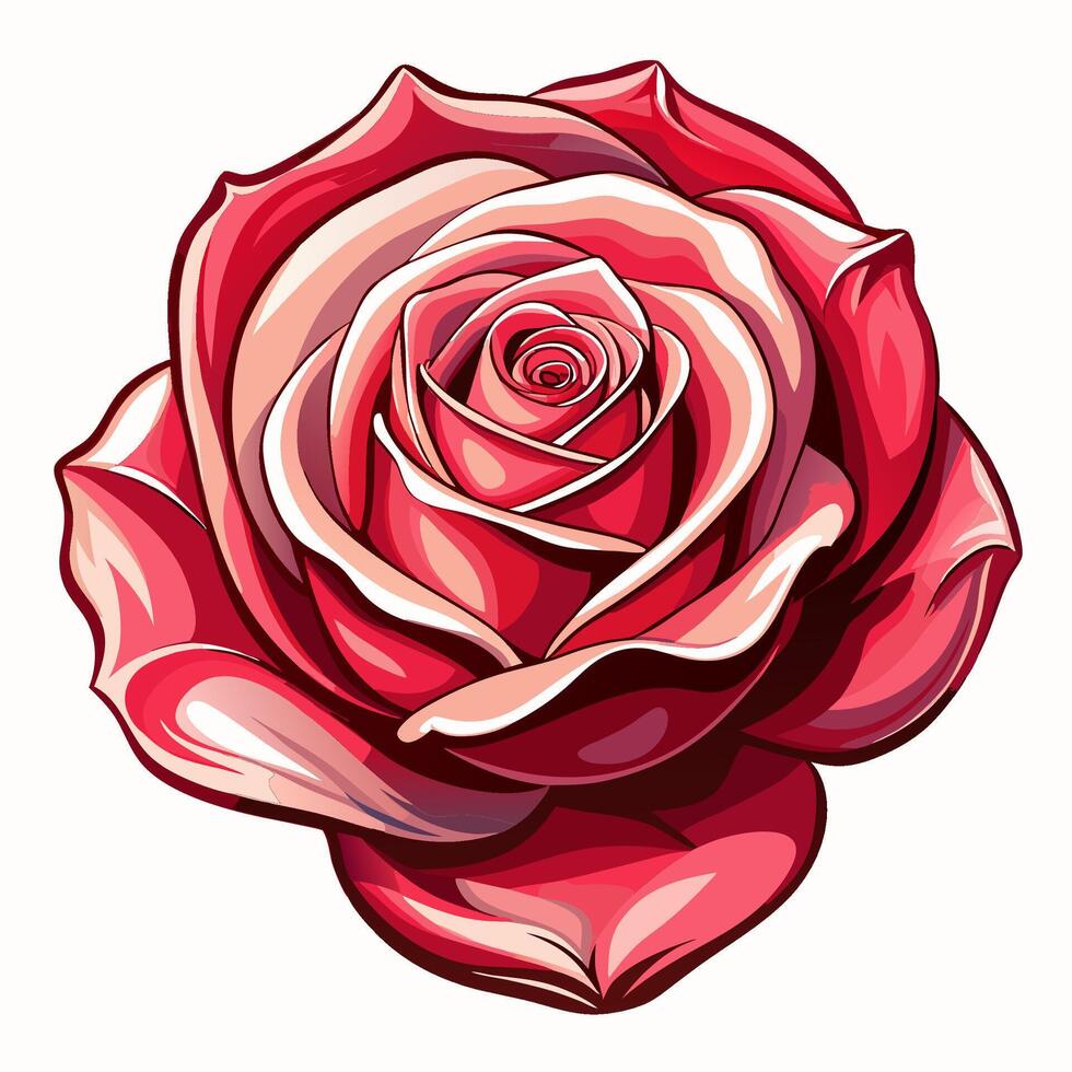 A beautiful pink rose with layered petals vector