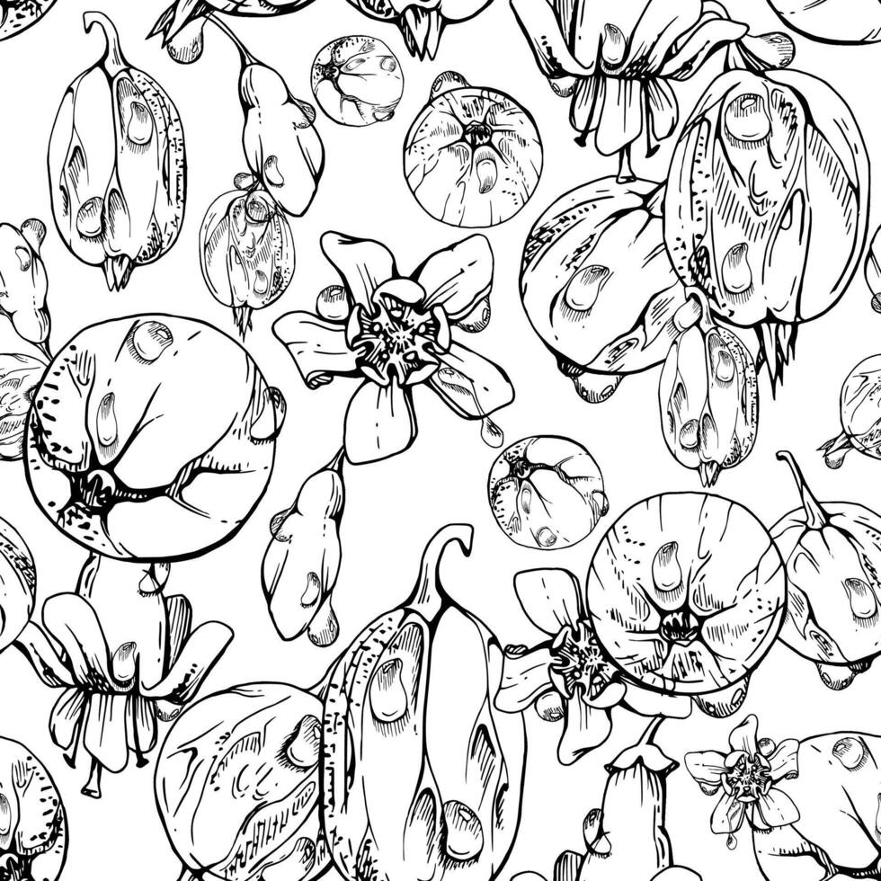 Gooseberry Currant garden berries, flowers scattered in water dew drops hand drawn in ink. Seamless isolated pattern. Home preserves, textile tiles, food store decor, recipe book, cafe menu vector
