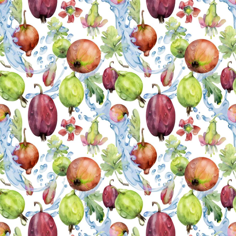 Gooseberry Currant berries flying in water splash, green leaves and dew drops hand drawn in watercolor. Ripe garden juneberry casseille jostaberry. Isolated seamless pattern. Fabric, wrapping paper vector