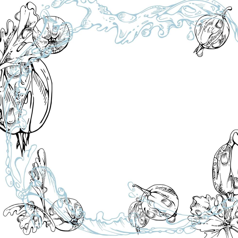 Gooseberry Currant berries flying in water splash with dew drops, green leaves, ripe garden juneberry casseille jostaberry hand drawn in ink. Isolated border square corner frame. Farmers market vector