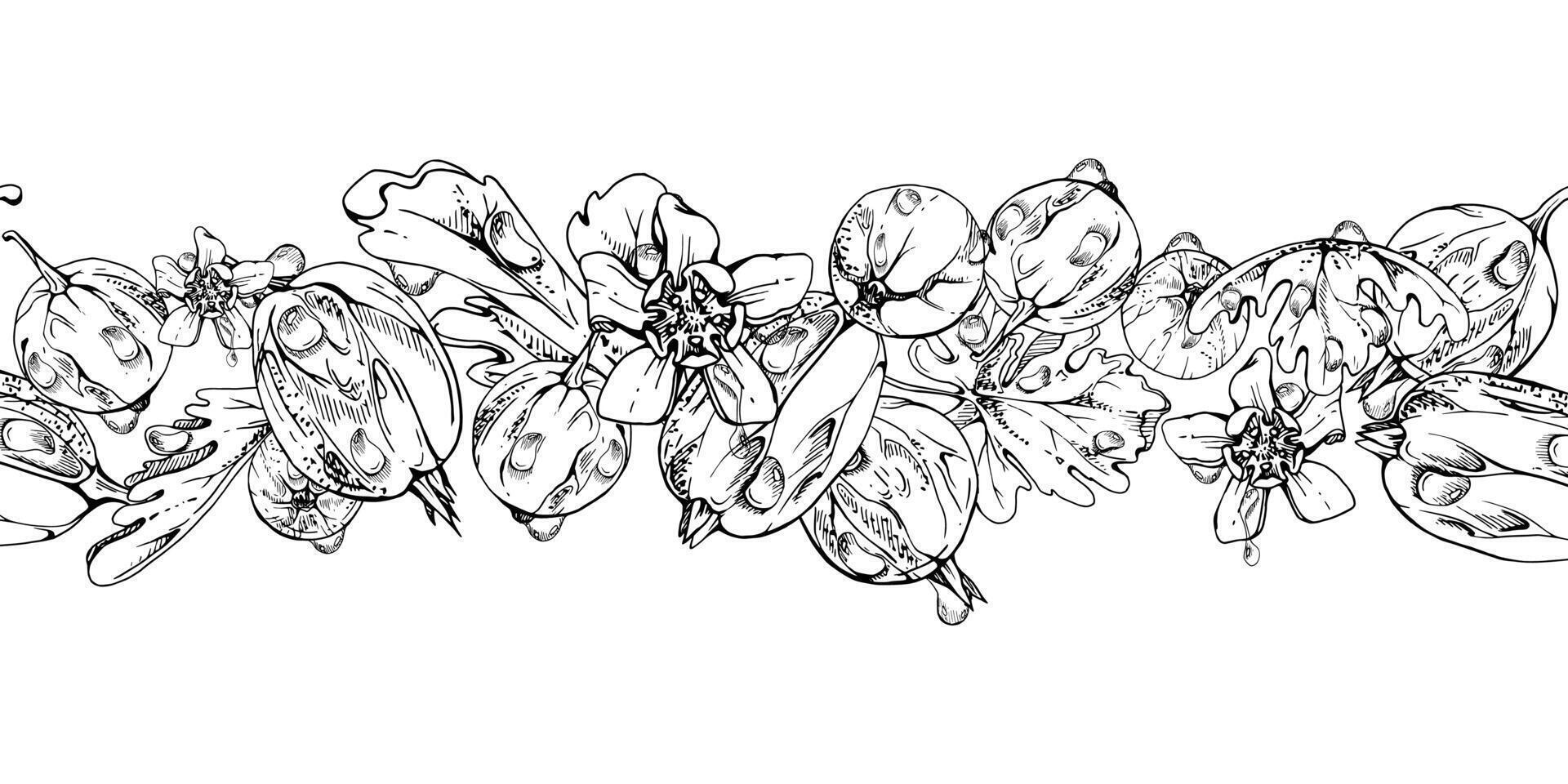 Gooseberry Currant garden berries leaves flowers in water dew drops hand drawn in ink. Seamless isolated banner garland. Home preserves, textile stationery, food store decor, recipe book, menu vector