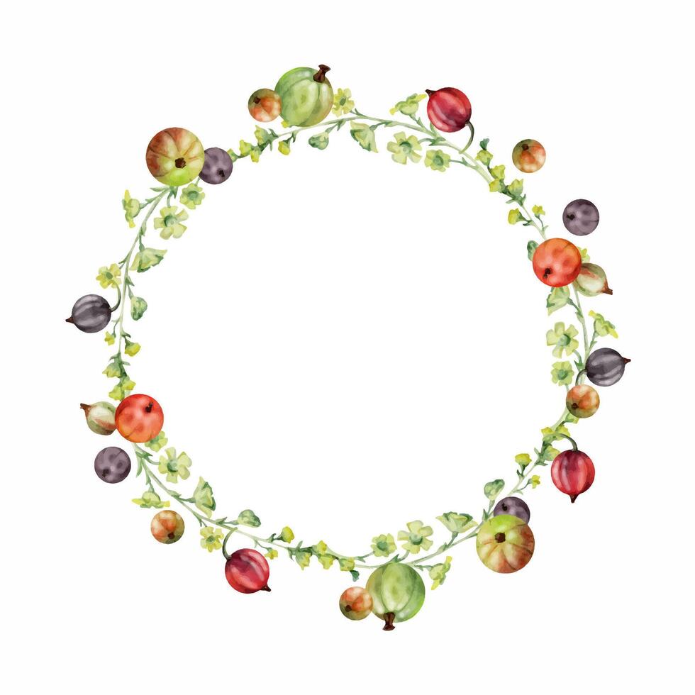 Currant gooseberry berries, long flower clusters hand drawn in watercolor, ripe garden berry juneberry casseille jostaberry. Isolated wreath frame crown. Florist shop, eco herbal cosmetics, grocery vector