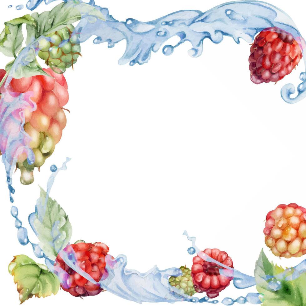 Raspberry berries leaves flying in dew drops, water splash, ripe garden dewberry cloudberry mulberry loganberry hand drawn in watercolor. Isolated border square corner frame. Farmers market stationery vector