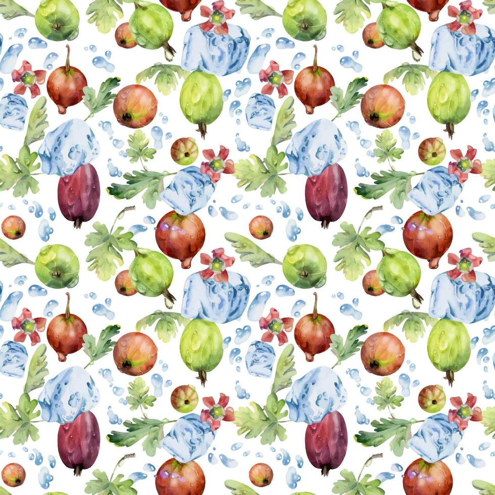 Gooseberry Currant berries flying in water splash with ice cubes dew drops flowers leaves, ripe garden juneberry casseille hand drawn in watercolor. Isolated seamless pattern. Craft drinks, grocery vector