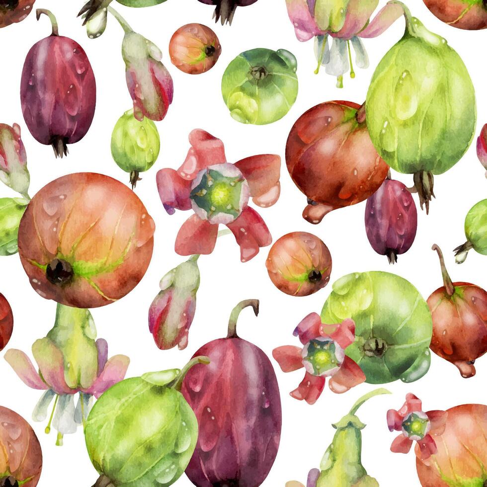 Gooseberry Currant garden berries, flowers scattered in water dew drops hand drawn in watercolor. Seamless isolated pattern. Home preserves, textile tiles, food store decor, recipe book, cafe menu vector